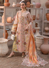 Printed monar dupatta with embroidered pallu on organza